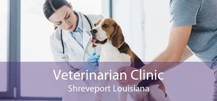 Veterinarian Clinic Shreveport Louisiana
