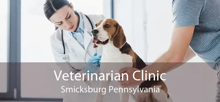 Veterinarian Clinic Smicksburg Pennsylvania