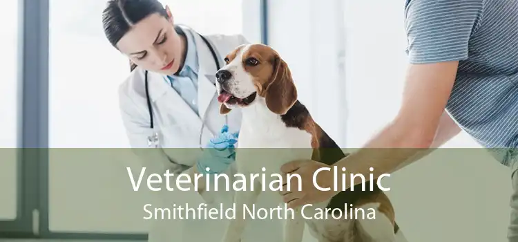 Veterinarian Clinic Smithfield North Carolina