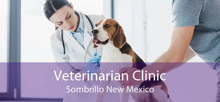 Veterinarian Clinic Sombrillo New Mexico