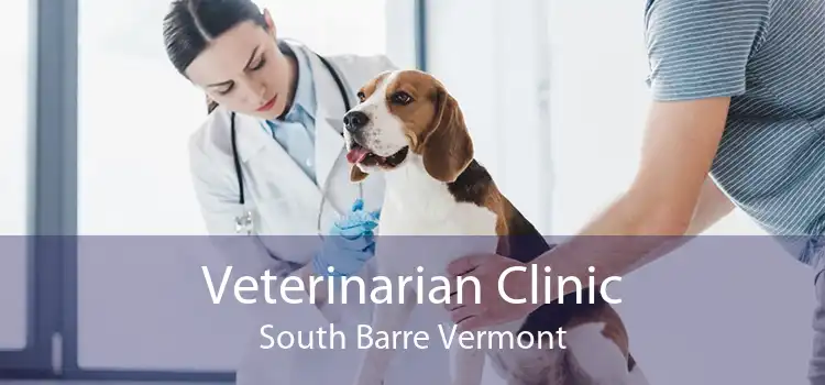 Veterinarian Clinic South Barre Vermont