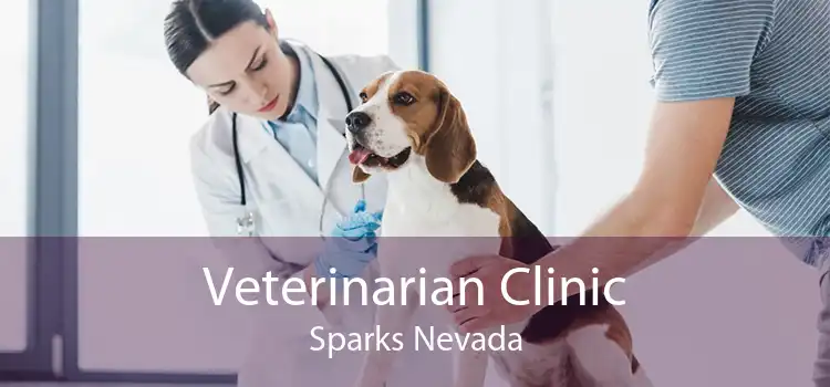 Veterinarian Clinic Sparks Nevada