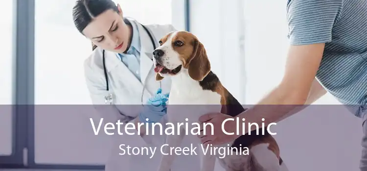 Veterinarian Clinic Stony Creek Virginia