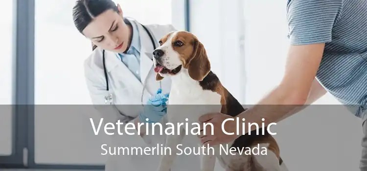 Veterinarian Clinic Summerlin South Nevada
