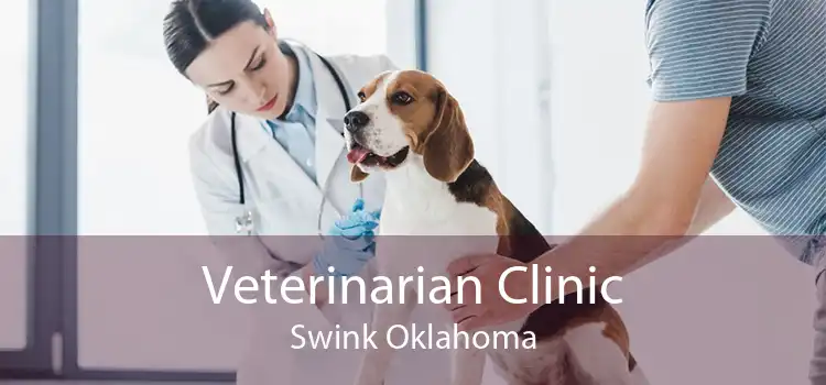 Veterinarian Clinic Swink Oklahoma