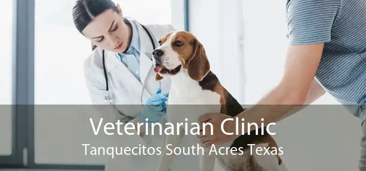 Veterinarian Clinic Tanquecitos South Acres Texas