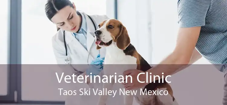 Veterinarian Clinic Taos Ski Valley New Mexico