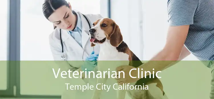 Veterinarian Clinic Temple City California