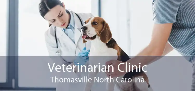Veterinarian Clinic Thomasville North Carolina