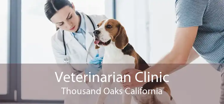 Veterinarian Clinic Thousand Oaks California