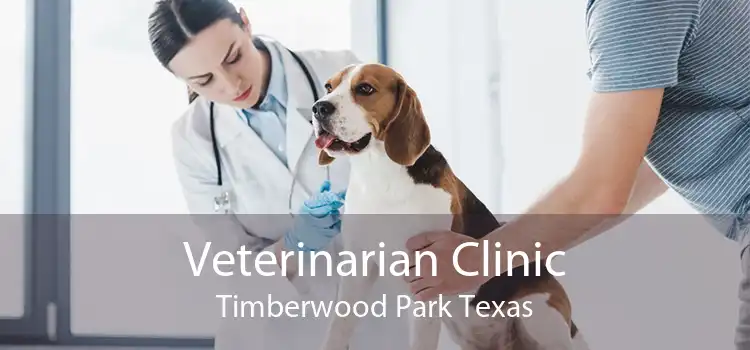 Veterinarian Clinic Timberwood Park Texas