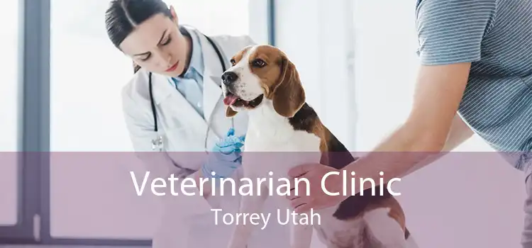 Veterinarian Clinic Torrey Utah