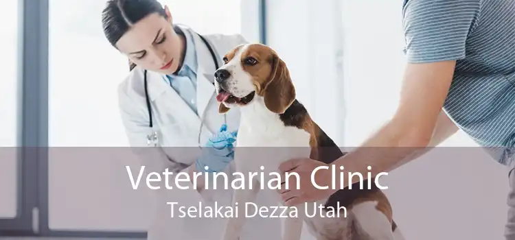Veterinarian Clinic Tselakai Dezza Utah