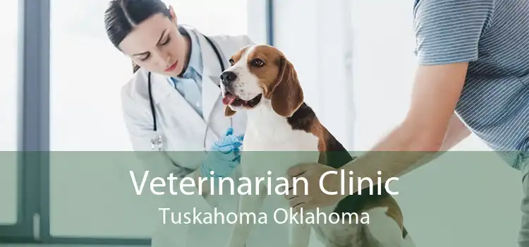 Veterinarian Clinic Tuskahoma Oklahoma