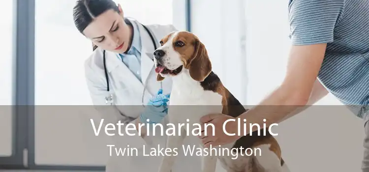 Veterinarian Clinic Twin Lakes Washington