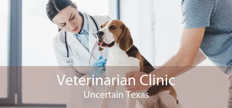 Veterinarian Clinic Uncertain Texas