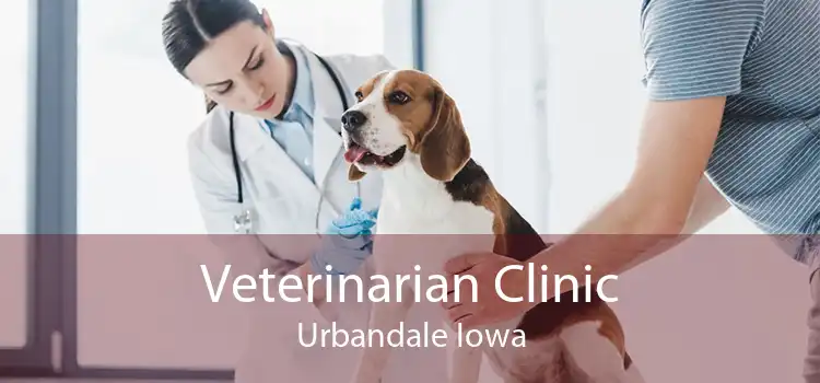 Veterinarian Clinic Urbandale Iowa