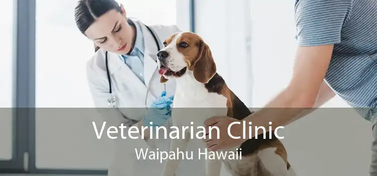 Veterinarian Clinic Waipahu Hawaii