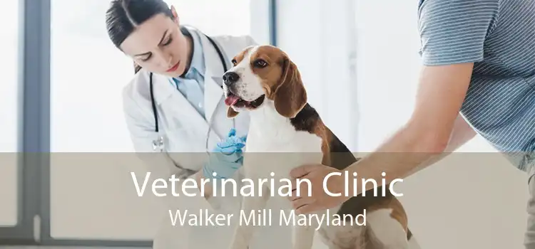 Veterinarian Clinic Walker Mill Maryland