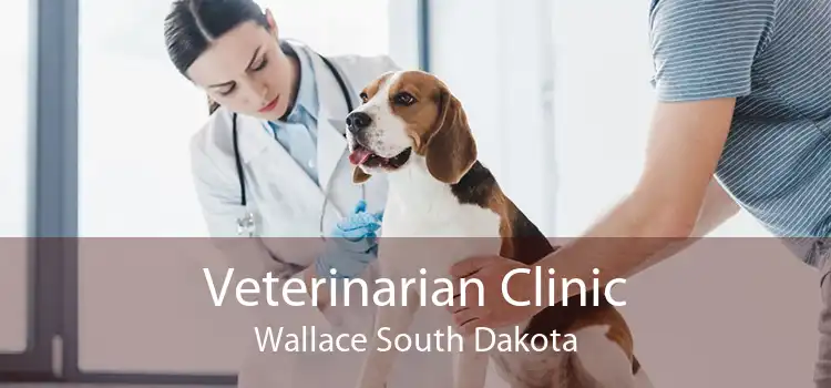 Veterinarian Clinic Wallace South Dakota