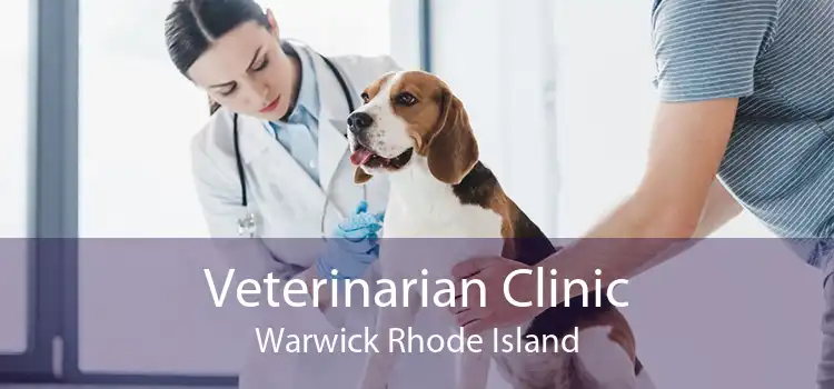 Veterinarian Clinic Warwick Rhode Island