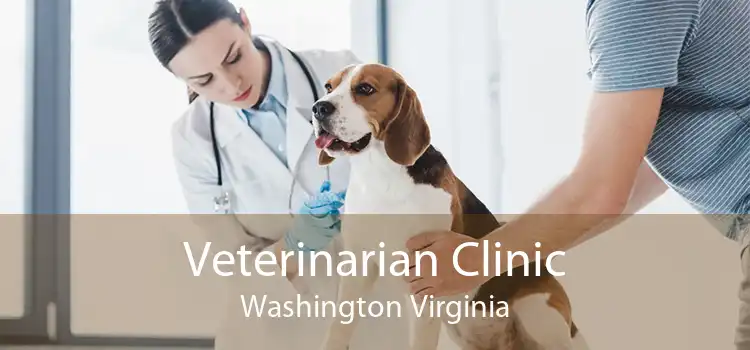 Veterinarian Clinic Washington Virginia