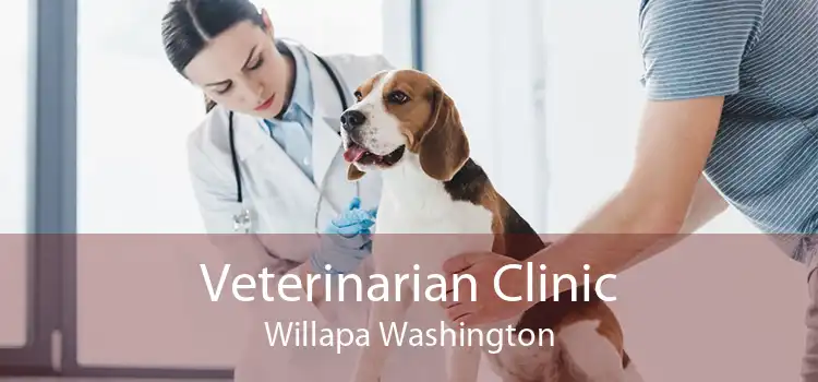 Veterinarian Clinic Willapa Washington
