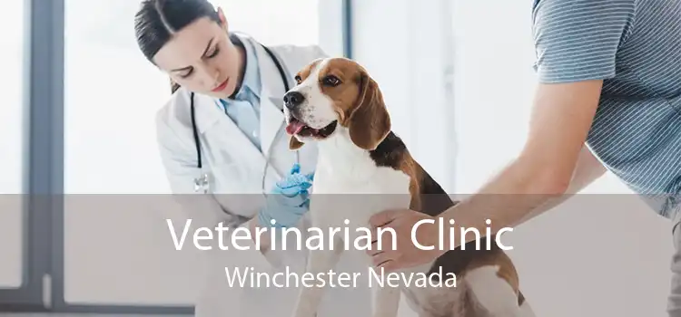Veterinarian Clinic Winchester Nevada