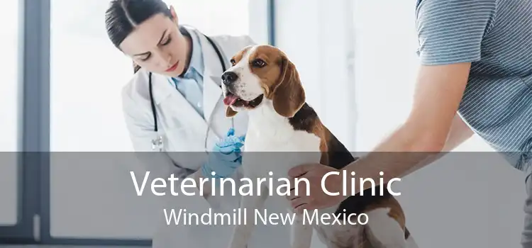 Veterinarian Clinic Windmill New Mexico