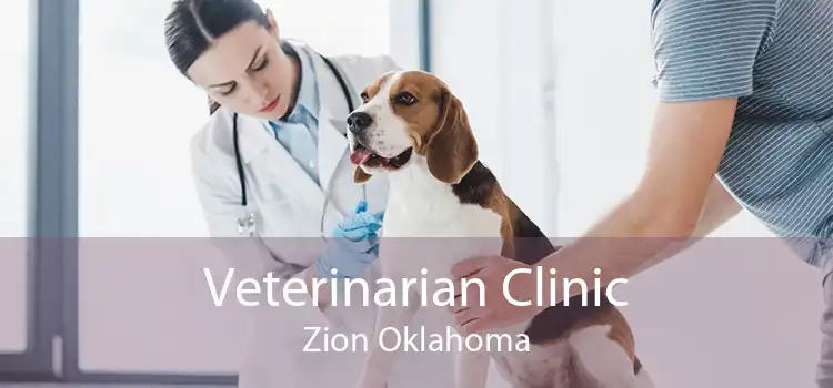 Veterinarian Clinic Zion Oklahoma